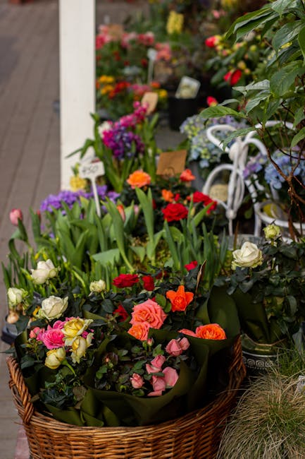 A wicker basket filled with a vibrant assortment of fresh flowers including red, pink, orange, and cream roses, complemented by purple and white blooms, all arranged with lush green foliage. The flowe