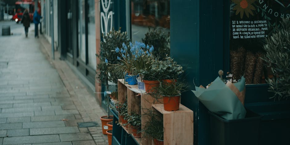 A display of potted plants with blue, orange, and terracotta pots arranged on wooden shelves outside a flower shop on a city sidewalk. The plants include various types with green foliage and some with