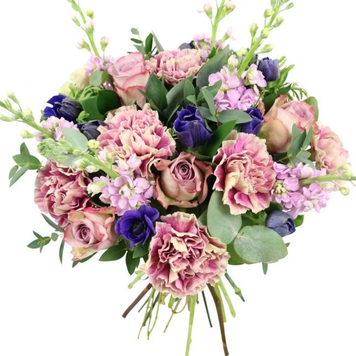 A sophisticated hand-tied bouquet stands out clearly against a plain white background, every bloom and leaf carefully placed to highlight its natural beauty. Dominating the arrangement are generous garden roses in shades of blush pink, soft dusty rose, and muted mauve, their petals layered in tight spirals at the centre and relaxing into broader curls at the edges, conveying both structure and softness. Clustered around them are frilly carnations that bring volume and tactile interest; each petal shows a gradual transition from warm, creamy beige at the base to rosy pink and brighter fuchsia toward the scalloped edges, creating a gentle, rippling effect. Deep indigo and royal blue flowers add drama, including a prominent open anemone with a velvety, near-black centre, accompanied by several compact buds reminiscent of tulips or closed anemones, which introduce depth and contrast. Slim stems of pale lavender and lilac stock thread upward, their tightly packed, small blossoms forming vertical clusters that lighten the design and offer a refined, sweet scent. Embracing the flowers is a collar of foliage: dark, glossy green leaves and rounded, silvery eucalyptus lend structure and a cool, calming undertone, much like the greenery you might notice while walking near Hounslow Heath. At the base, the stems are gathered and clearly visible, tied in a neat spiral to show off their fresh cut ends, ready for delivery throughout Hounslow and nearby areas. This bouquet's palette of romantic pinks, serene purples, and striking blues, set against lush greens, makes it ideal for weddings, anniversaries, or any moment when a touch of understated luxury is called for.